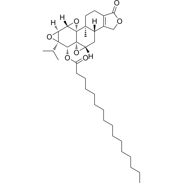 Triptolide palmitate 2126920-51-0